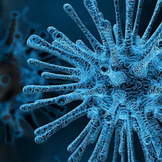 Coronavirus, in Liguria in crescita rispetto a ieri i nuovi contagi: +226