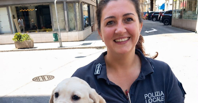 Sei cani soccorsi in un'abitazione a Savona dopo una segnalazione: intervento della polizia locale e del servizio veterinario Sei cani soccorsi in un'abitazione a Savona dopo una segnalazione: intervento della polizia locale e del servizio veterinario