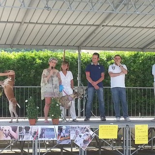 Ortovero: partecipazione e attenzione ai diritti degli animali durante la "Camminata per la vita"