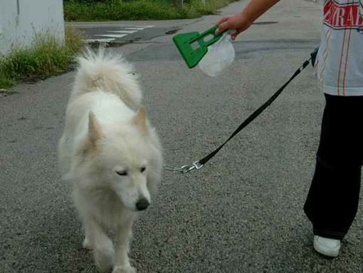 "A Savona i proprietari di animali cittadini di serie B", lo sfogo di una lettrice
