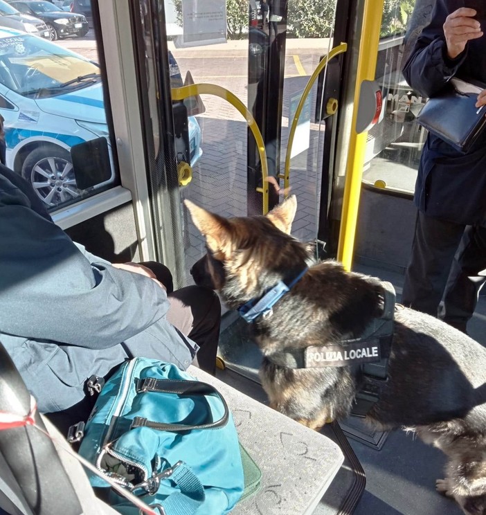 Finale, controlli sui bus di Tpl Linea: 26 sanzioni (FOTO)