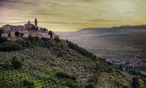 Città dell’olio, in Liguria per un’esperienza  di gusto e cultura con la Camminata tra gli olivi