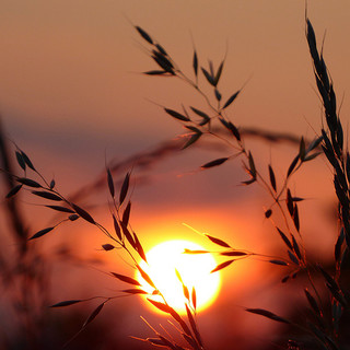 Meteo, a piccoli passi verso un cambio di circolazione