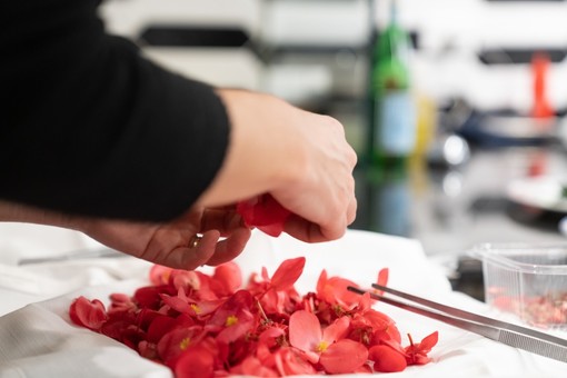 Un esercito di appassionati di cucina coi fiori pronto a popolare Alassio: dal 12 al 15 aprile un Festival tutto da mangiare, riconoscere e catturare con un clic
