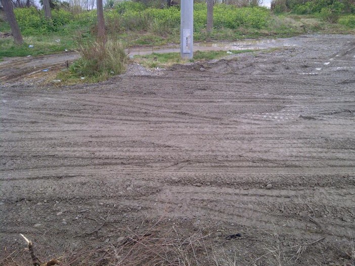 Ad Albenga ripulita la foce del fiume Centa, Cangiano:"Primo passo verso la riqualificazione"