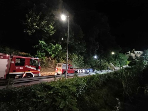 Caduta alberi in via Lavadore a Celle: il Sindaco ordina ai privati di verificare la stabilità e mettere in sicurezza la scarpata Caduta alberi in via Lavadore a Celle: il Sindaco ordina ai privati di verificare la stabilità e mettere in sicurezza la scarpata
