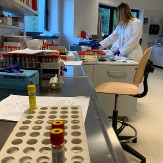 Coronavirus: altri 49 positivi in meno in Liguria rispetto a ieri