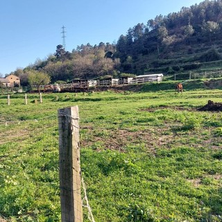 Terreno in località Casina dove è previsto il posizionamento del Pde