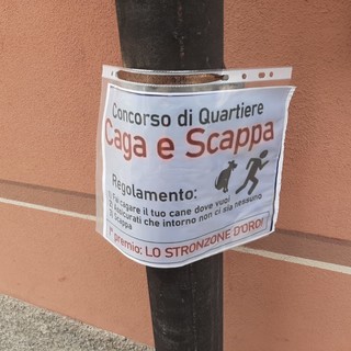 Savona: un volantino polemico contro i proprietari di cani "sporcaccioni" Savona: un volantino polemico contro i proprietari di cani "sporcaccioni"