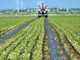 Aumenta la tariffa dell'acqua, ad Albenga agricoltori in rivolta
