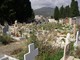 Savona, ok dalla giunta all'ampliamento del cimitero di Zinola Savona, ok dalla giunta all'ampliamento del cimitero di Zinola