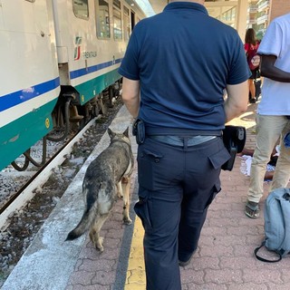 Alassio, servizio di controllo del territorio dei carabinieri: diversi arresti e denunce