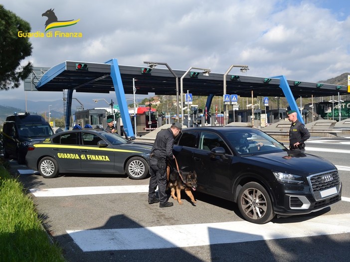 Savona, trovano cocaina e contanti anche grazie al cane Kimo: arrestato dalla Finanza 36enne irregolare (FOTO E VIDEO) Savona, trovano cocaina e contanti anche grazie al cane Kimo: arrestato dalla Finanza 36enne irregolare (FOTO E VIDEO)