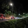 Caduta alberi in via Lavadore a Celle: il Sindaco ordina ai privati di verificare la stabilità e mettere in sicurezza la scarpata Caduta alberi in via Lavadore a Celle: il Sindaco ordina ai privati di verificare la stabilità e mettere in sicurezza la scarpata
