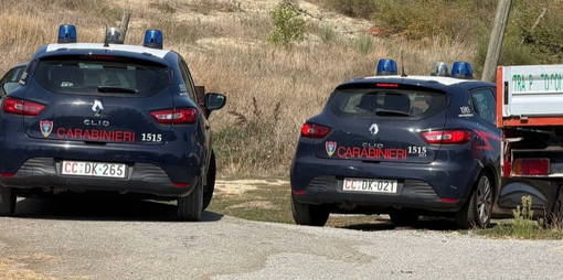 30 cani salvati a Dego, nuovo sopralluogo dei Carabinieri Forestali 30 cani salvati a Dego, nuovo sopralluogo dei Carabinieri Forestali