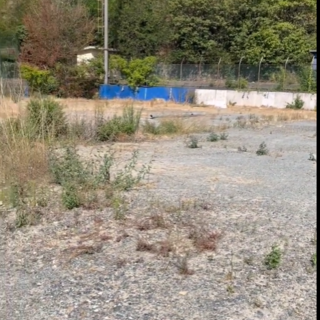 Ex campo Pino Ferro di Varazze, previsti 70 parcheggi pubblici e nuovo verde Ex campo Pino Ferro di Varazze, previsti 70 parcheggi pubblici e nuovo verde