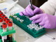 Coronavirus, il bollettino dei decessi nelle altre province liguri Coronavirus, il bollettino dei decessi nelle altre province liguri