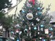 Albenga: il Comitato di Vadino valorizza il quartiere con l'albero di Natale Albenga: il Comitato di Vadino valorizza il quartiere con l'albero di Natale