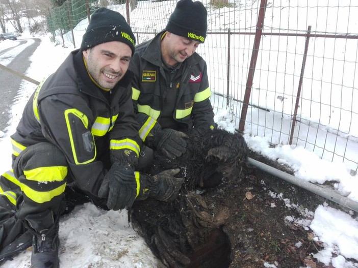 La foto dopo l'intervento di salvataggio