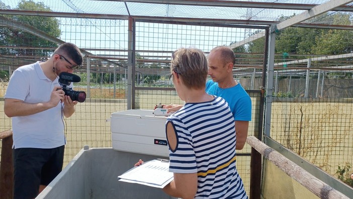 Dieci nuove testuggini palustri ingaune tornano a popolare l'Oasi WWF "Valloni" (FOTO) Dieci nuove testuggini palustri ingaune tornano a popolare l'Oasi WWF "Valloni" (FOTO)