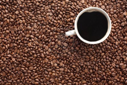 Albenga, una giornata interamente dedicata al caffè e alle analisi sensoriali