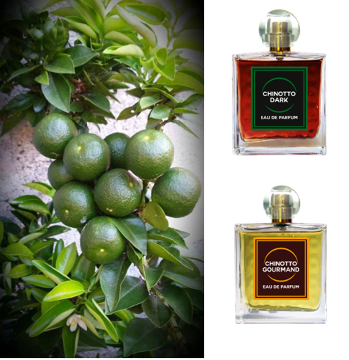 Continua il percorso del Chinotto tra eventi di arte e cultura a Savona