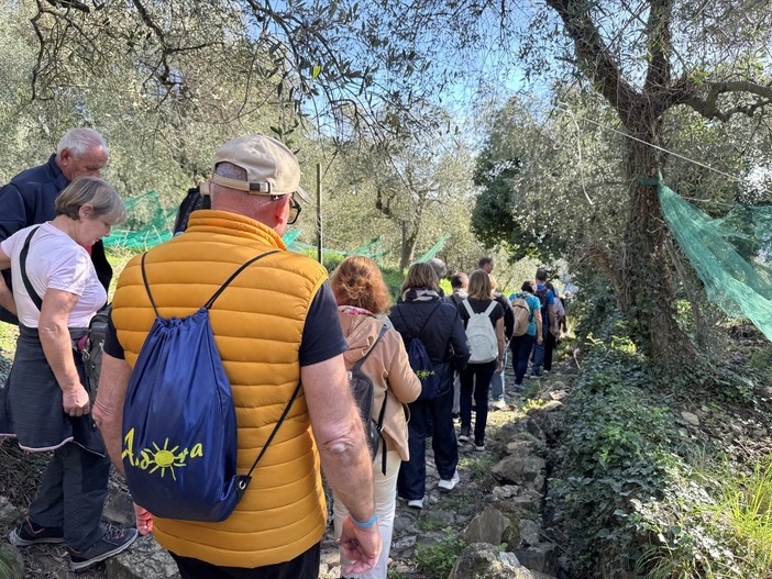 Andora, torna la camminata fra gli ulivi