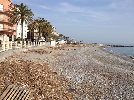 Elezione Albenga, "Con Cangiano possiamo... pulire la spiaggia del cugino?", Ciangherotti all'attacco del candidato sindaco di sinistra