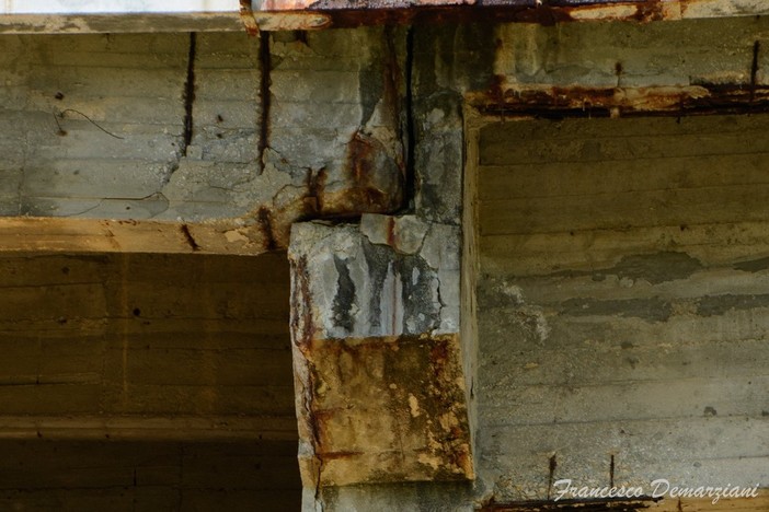 foto realizzate e concesse da Francesco Demarziani