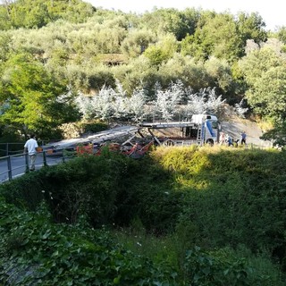 Giustenice: camion incastrato sulla Strada Provinciale
