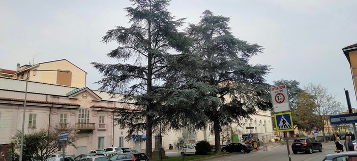 Foto pagina Facebook "Le Rive della Bormida (immagini di Cairo e dintorni)" Foto pagina Facebook "Le Rive della Bormida (immagini di Cairo e dintorni)"