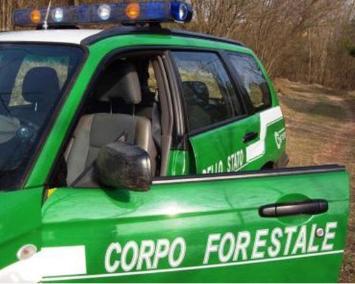 Ceriale, condanne e terreni confiscati dal Corpo Forestale per lottizzazione abusiva