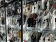 Primavera-Estate 2025: sneakers al centro della scena tra nostalgia vintage e innovazione