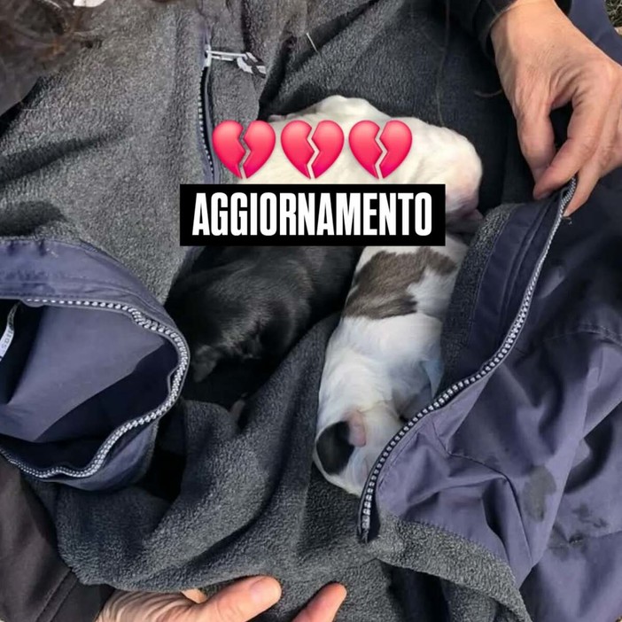 Cosseria, i cuccioli abbandonati nel bosco non ce l’hanno fatta