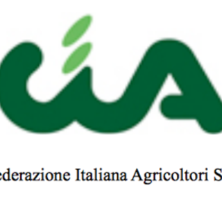 CIA Savona: "Etichetta nutrizionale su vino inutile e onerosa"