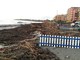 Borghetto rimuove i rifiuti spiaggiati (FOTO)