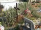Cimiteri invasi da erba e degrado, le lamentele dei cittadini ad Albenga (FOTO)