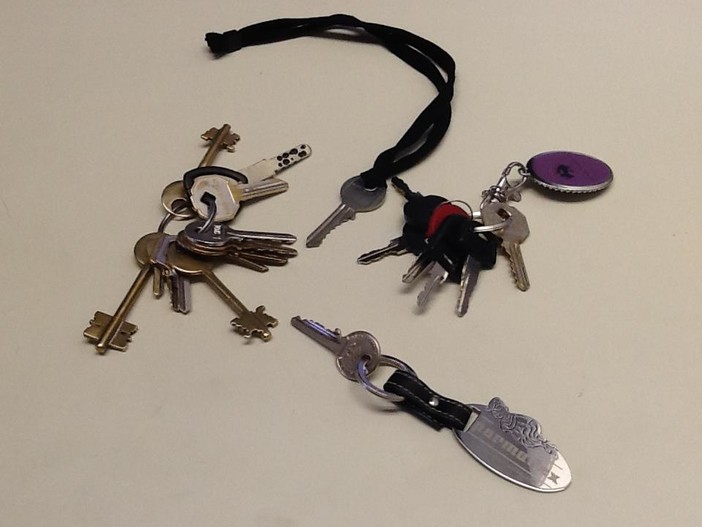 Fare per Fermare il Declino di Savona sostiene la manifestazione sulla cittadinanza a Genova Fare per Fermare il Declino di Savona sostiene la manifestazione sulla cittadinanza a Genova