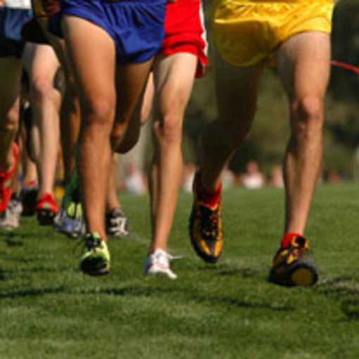 Il Giro della Liguria di corsa campestre fa tappa a Quiliano Il Giro della Liguria di corsa campestre fa tappa a Quiliano