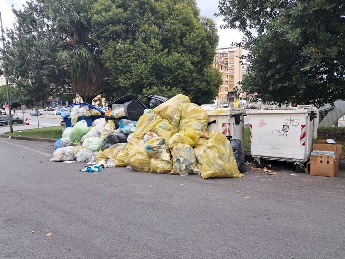 Raccolta rifiuti a Savona, Valle (Sea-s): "Ci sono ancora criticità ma l'effetto del porta a porta c'è. Sanzioni scatteranno quando il servizio sarà a regime" Raccolta rifiuti a Savona, Valle (Sea-s): "Ci sono ancora criticità ma l'effetto del porta a porta c'è. Sanzioni scatteranno quando il servizio sarà a regime"