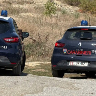 30 cani salvati a Dego, nuovo sopralluogo dei Carabinieri Forestali 30 cani salvati a Dego, nuovo sopralluogo dei Carabinieri Forestali