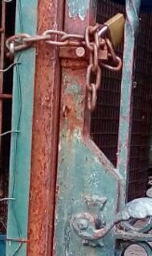 "Cani in una prigione 4X2": la denuncia del Gruppo antipolitico savonese