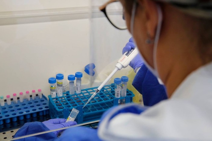 Coronavirus: 309 nuovi positivi in Liguria, 104 i casi nel savonese Coronavirus: 309 nuovi positivi in Liguria, 104 i casi nel savonese