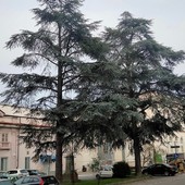 Foto pagina Facebook "Le Rive della Bormida (immagini di Cairo e dintorni)"