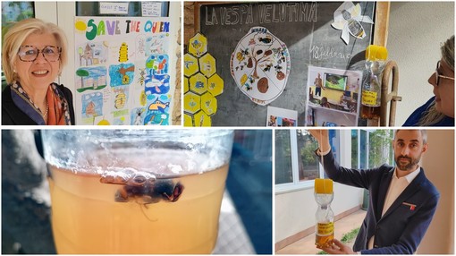 Educare per proteggere l’ambiente: l’Istituto Comprensivo di Pietra Ligure contro i pericoli della Vespa Velutina (VIDEO)