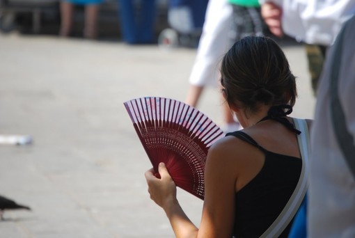 Arpal: "Permangono condizioni di moderato disagio per caldo e afa" Arpal: "Permangono condizioni di moderato disagio per caldo e afa"