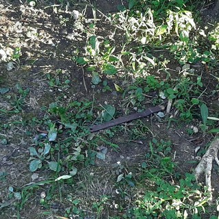 Caduta bulloni, oggetti metallici e calcestruzzo: il viadotto Costa a Celle a rischio come il Teiro di Varazze