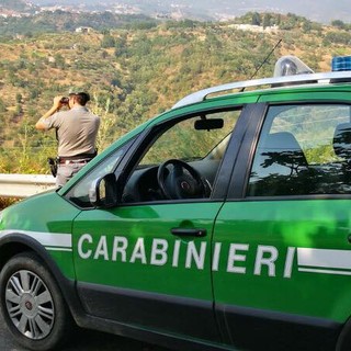 La stazione carabinieri forestale di Zuccarello ha denunciato quattro persone per illeciti in ambito edilizio