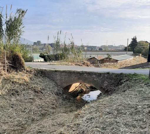 Albenga, pulizia del rio Carenda. Il vice sindaco Passino: "Intervenuti anche su tratti a monte"