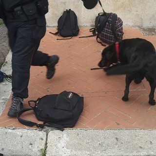 Controlli antidroga nelle scuole savonesi, denunciati 5 giovani